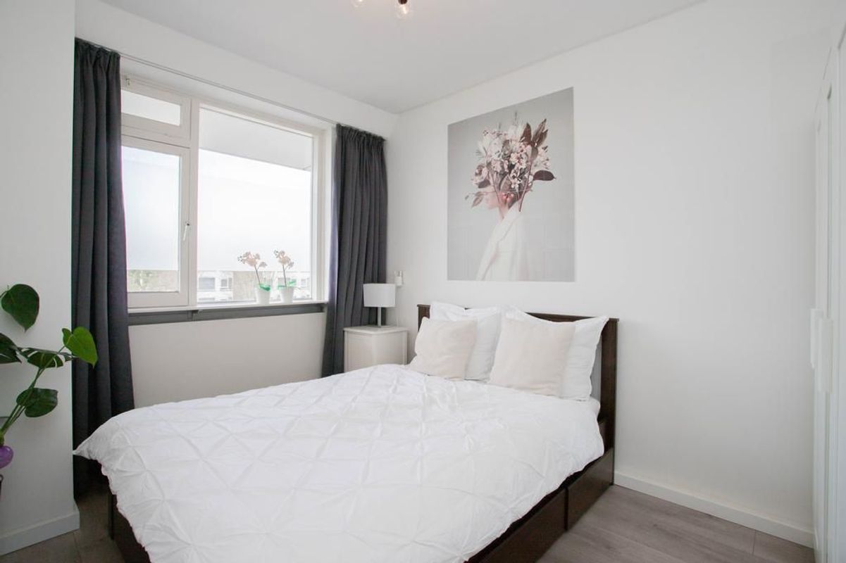 Livingstonelaan 496 Photo Blur 10