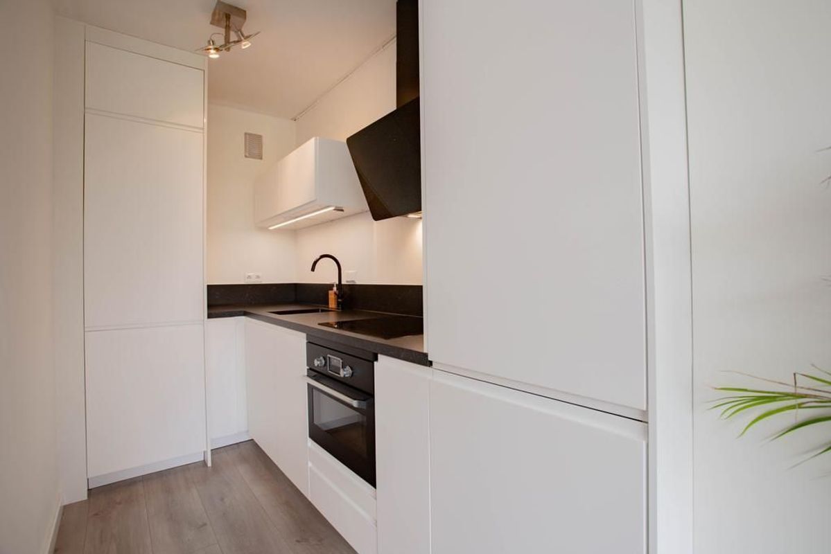 Livingstonelaan 496 Photo Blur 7