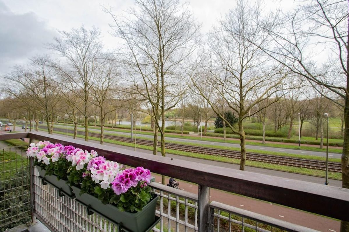 Livingstonelaan 496 Photo Blur 14