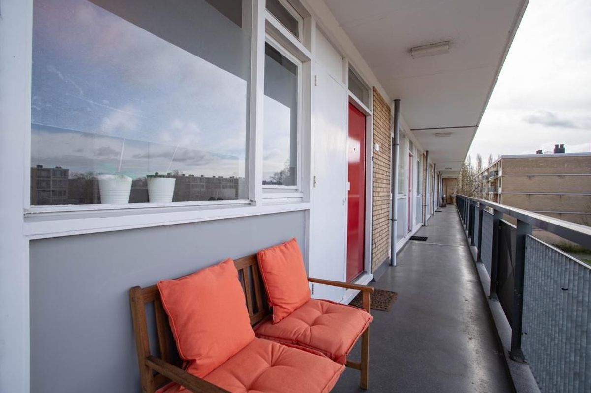 Livingstonelaan 496 Photo Blur 15