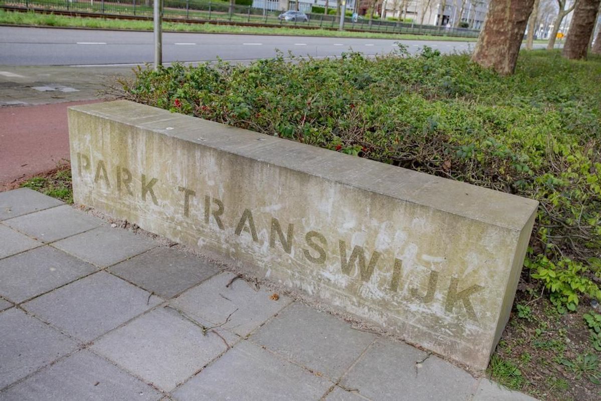 Livingstonelaan 496 Photo Blur 17