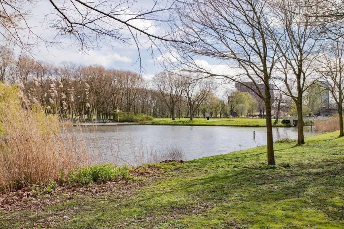 Livingstonelaan 496 Photo Blur 16