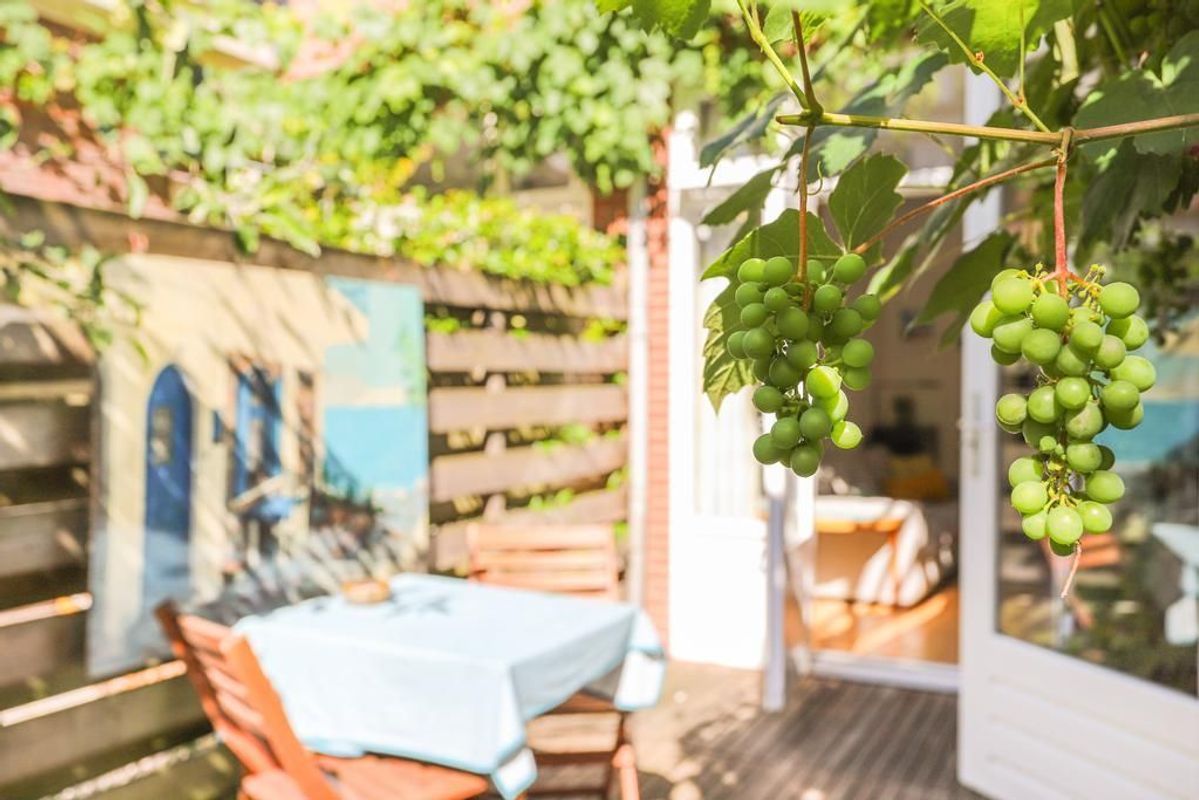 Violenstraat 45 Photo Blur 22