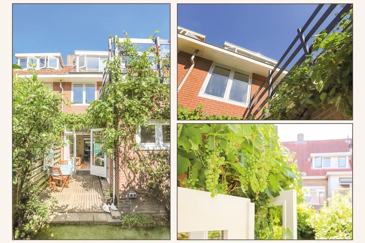 Violenstraat 45 Photo Blur 23