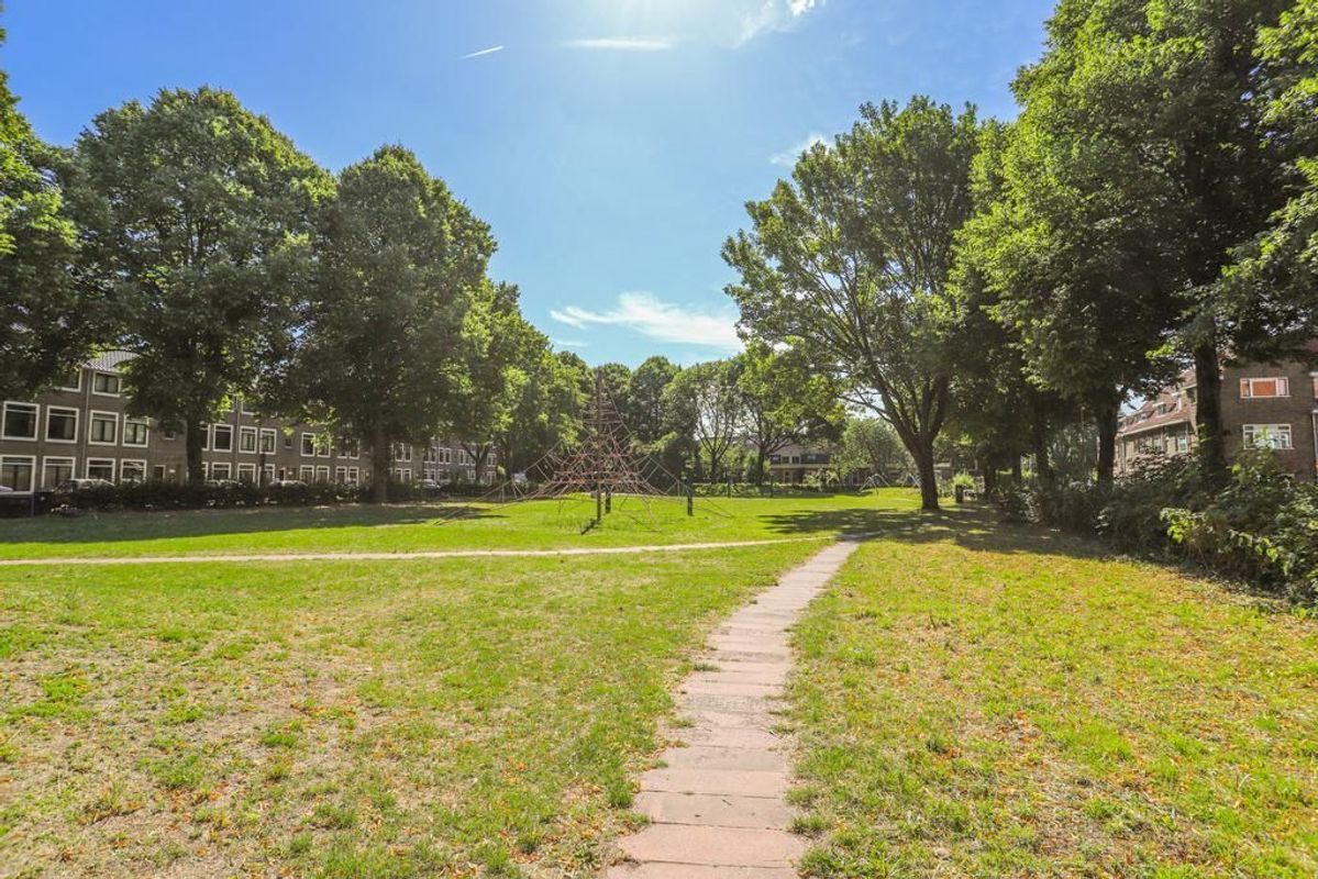 Violenstraat 45 Photo Blur 53