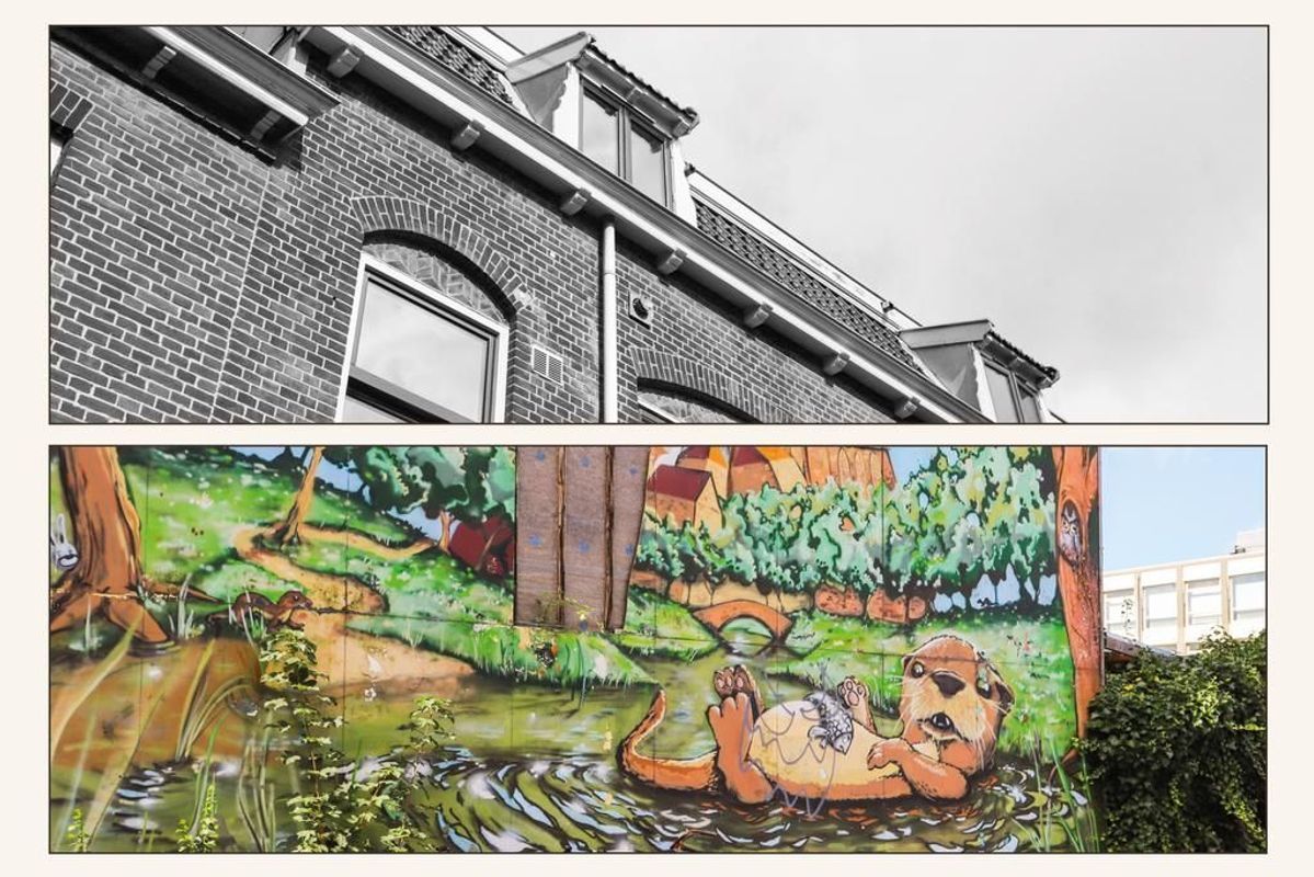 Otterstraat 110-BIS Photo Blur 36