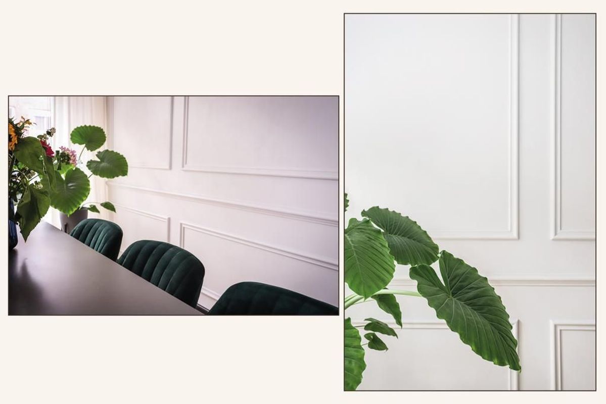 Daendelsstraat 17 Photo Blur 11