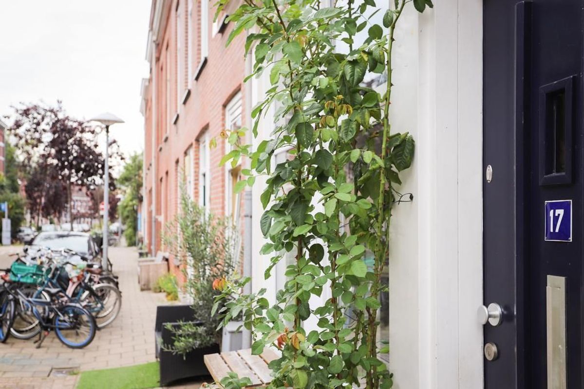 Daendelsstraat 17 Photo Blur 33