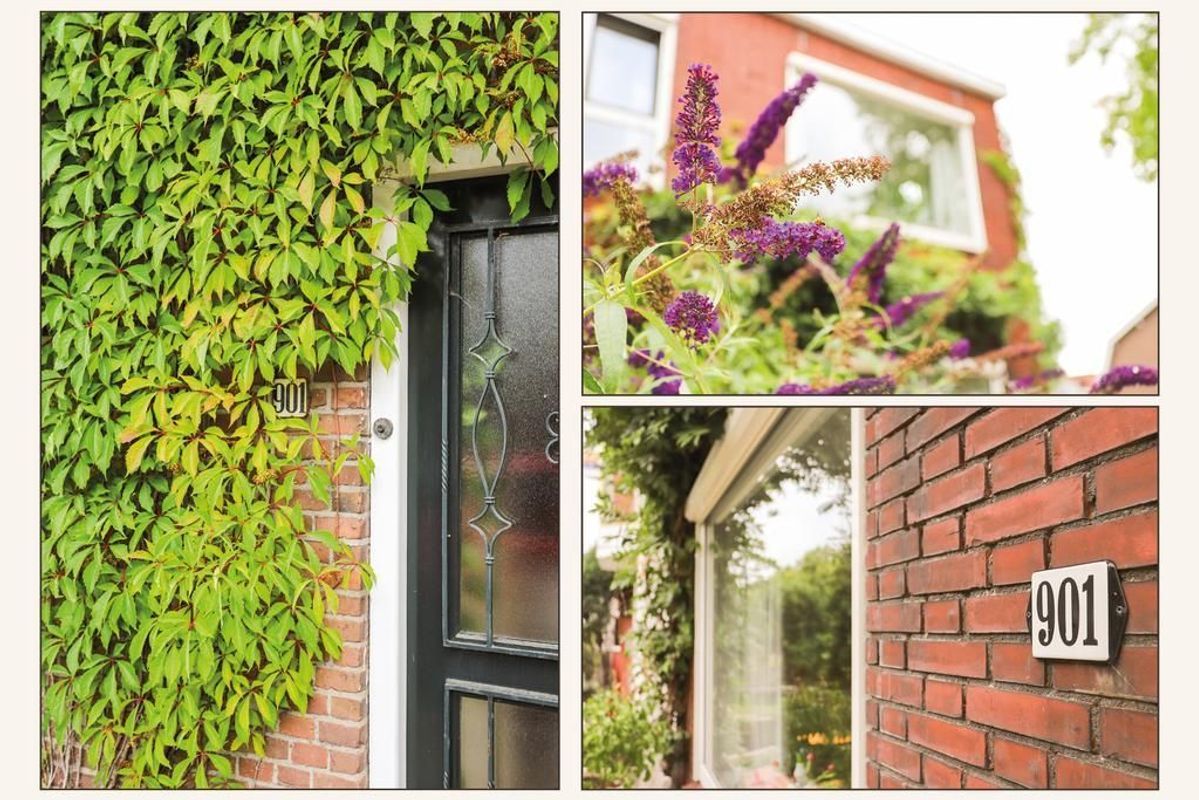 Amsterdamsestraatweg 901 Photo Blur 43