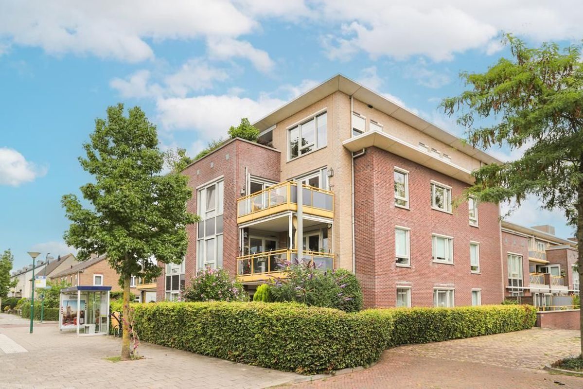 Gerard Doustraat 16 Photo Blur 0