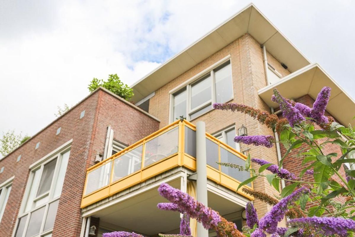 Gerard Doustraat 16 Photo Blur 37