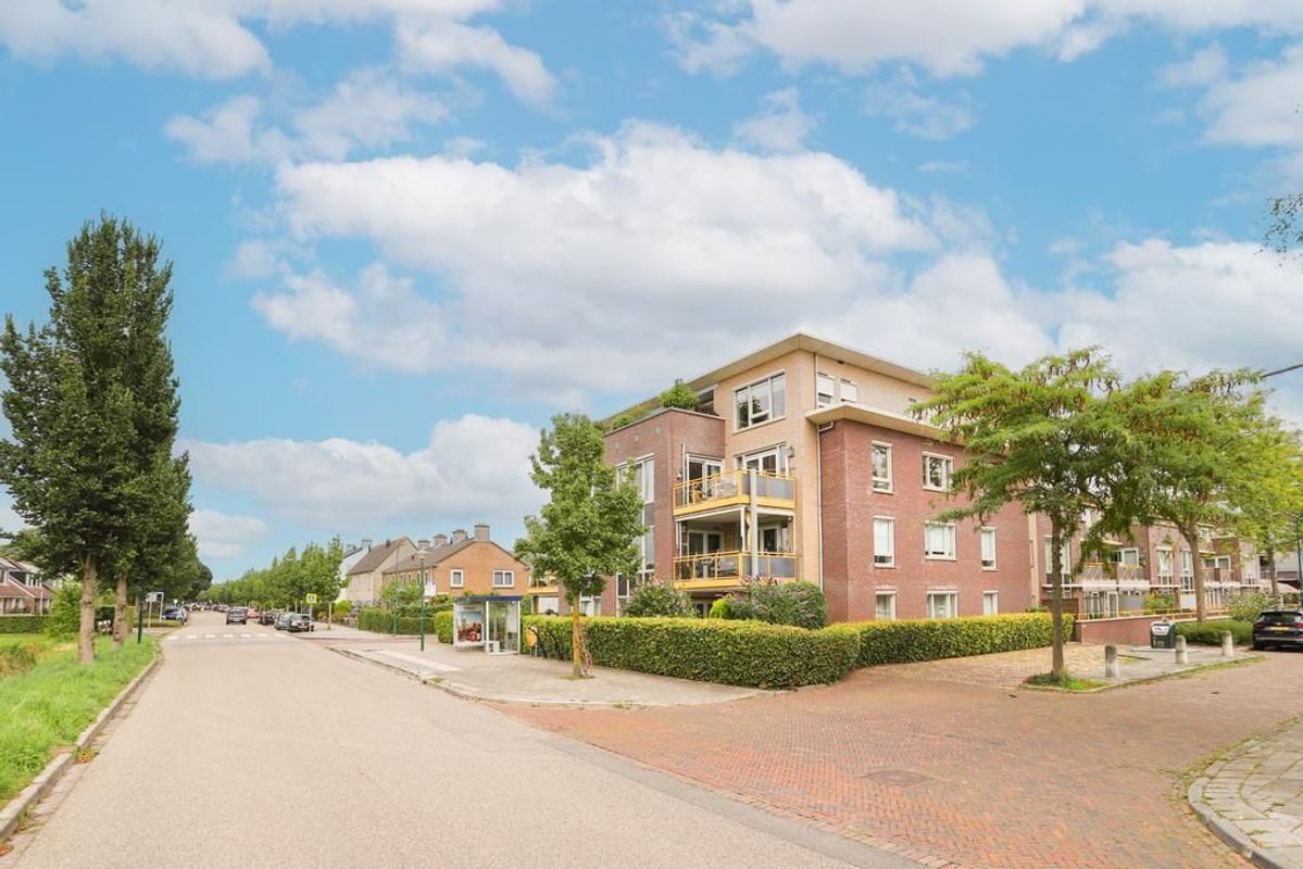 Gerard Doustraat 16 Photo Blur 35