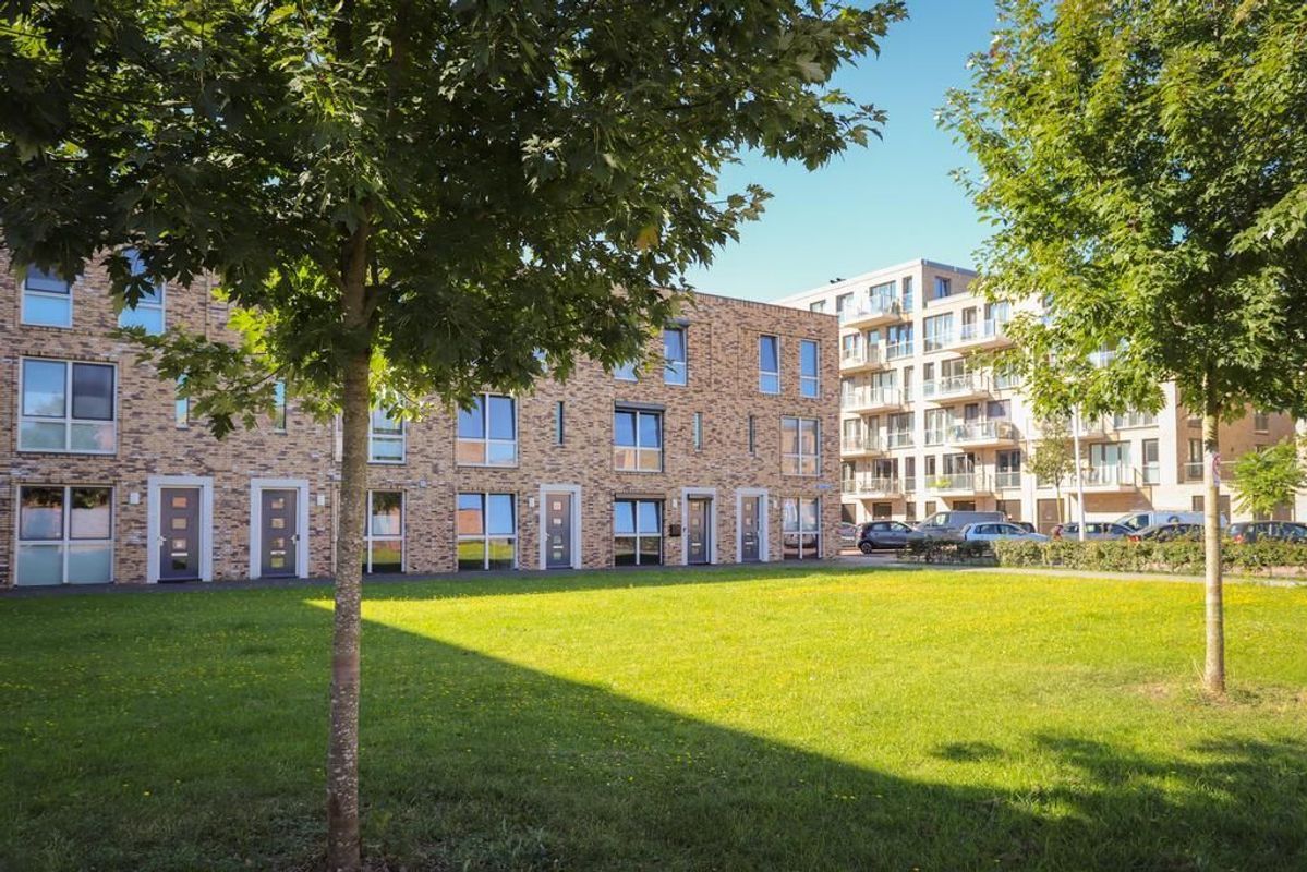 Roy Eldridgepad 5 Photo Blur 38