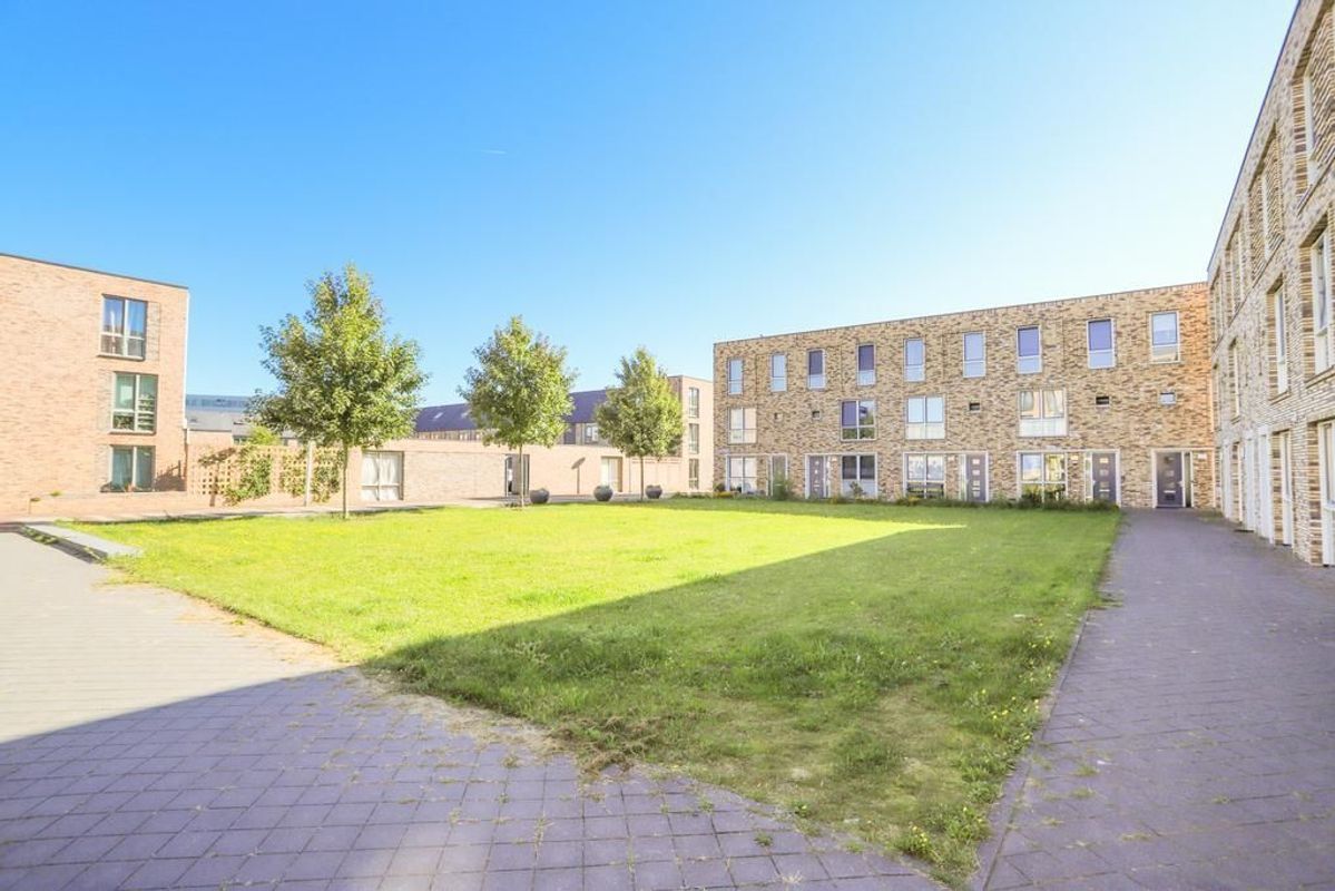 Roy Eldridgepad 5 Photo Blur 39