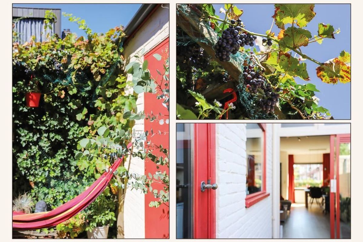 Nicolaas Sopingiusstraat 22 Photo Blur 17