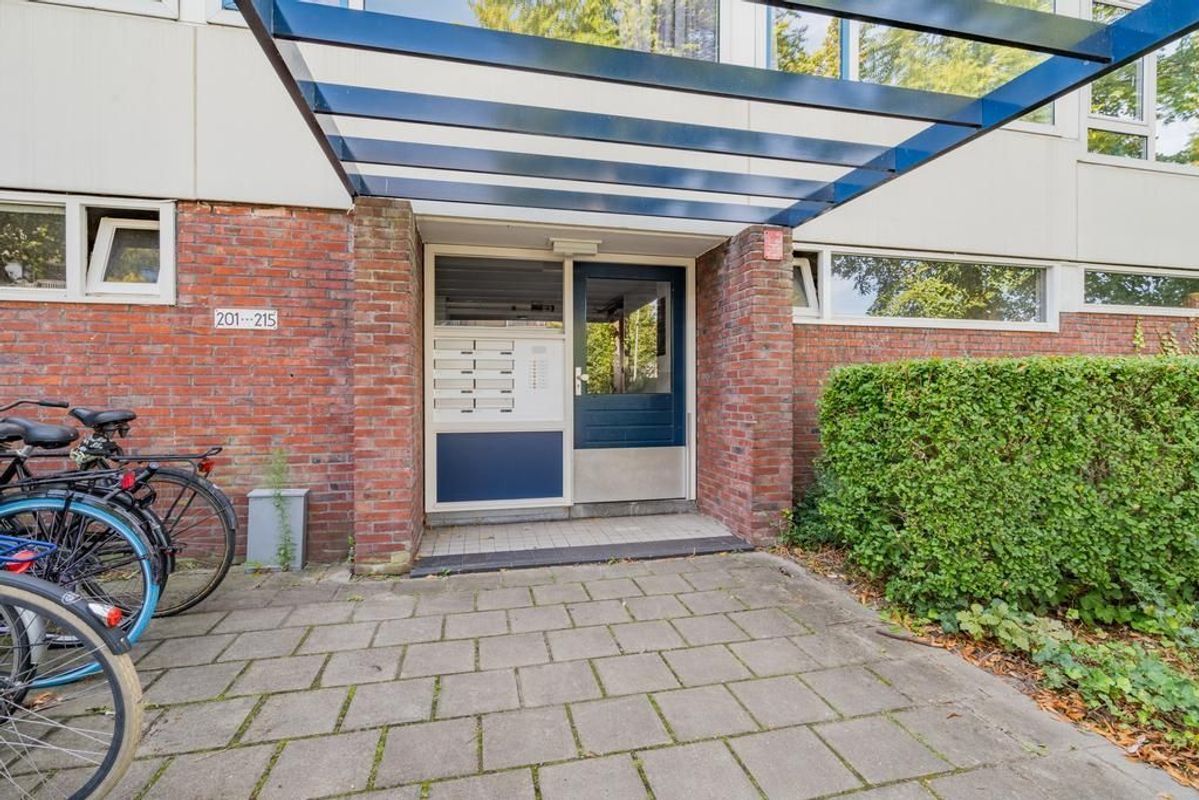 Van Bijnkershoeklaan 205 Photo Blur 21