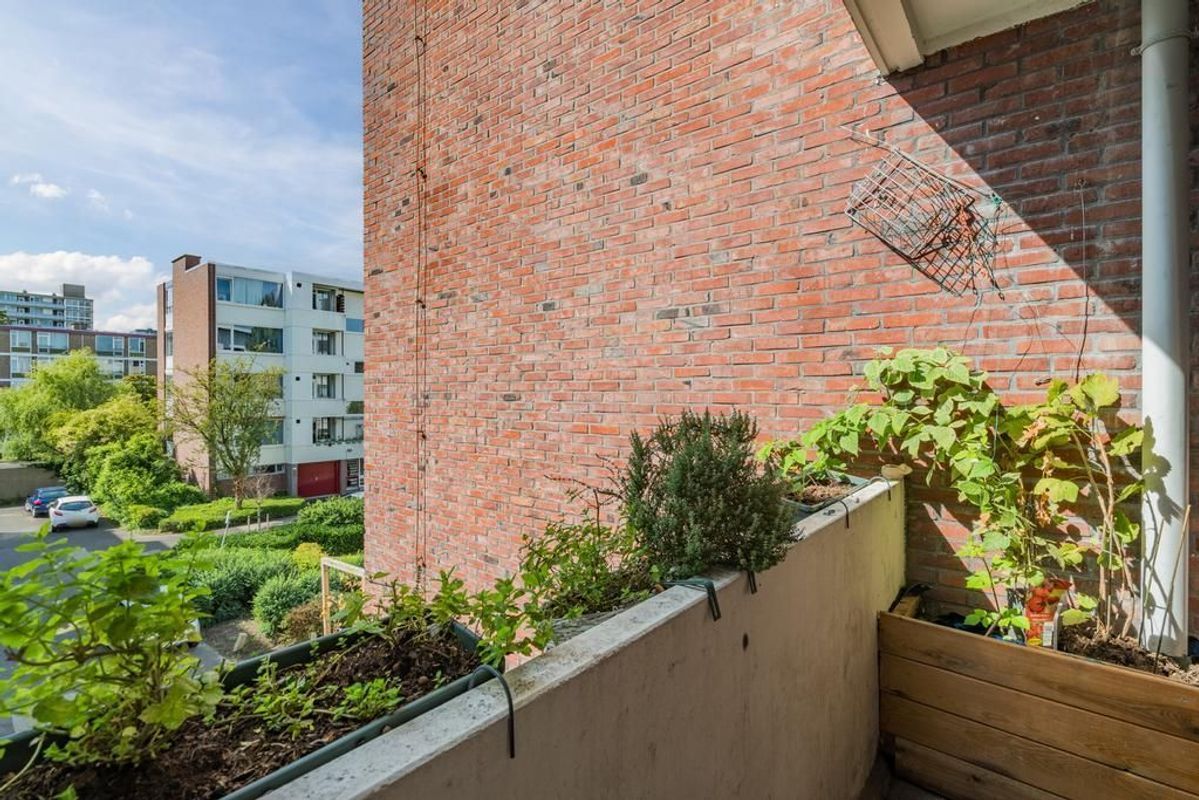 Van Bijnkershoeklaan 205 Photo Blur 15