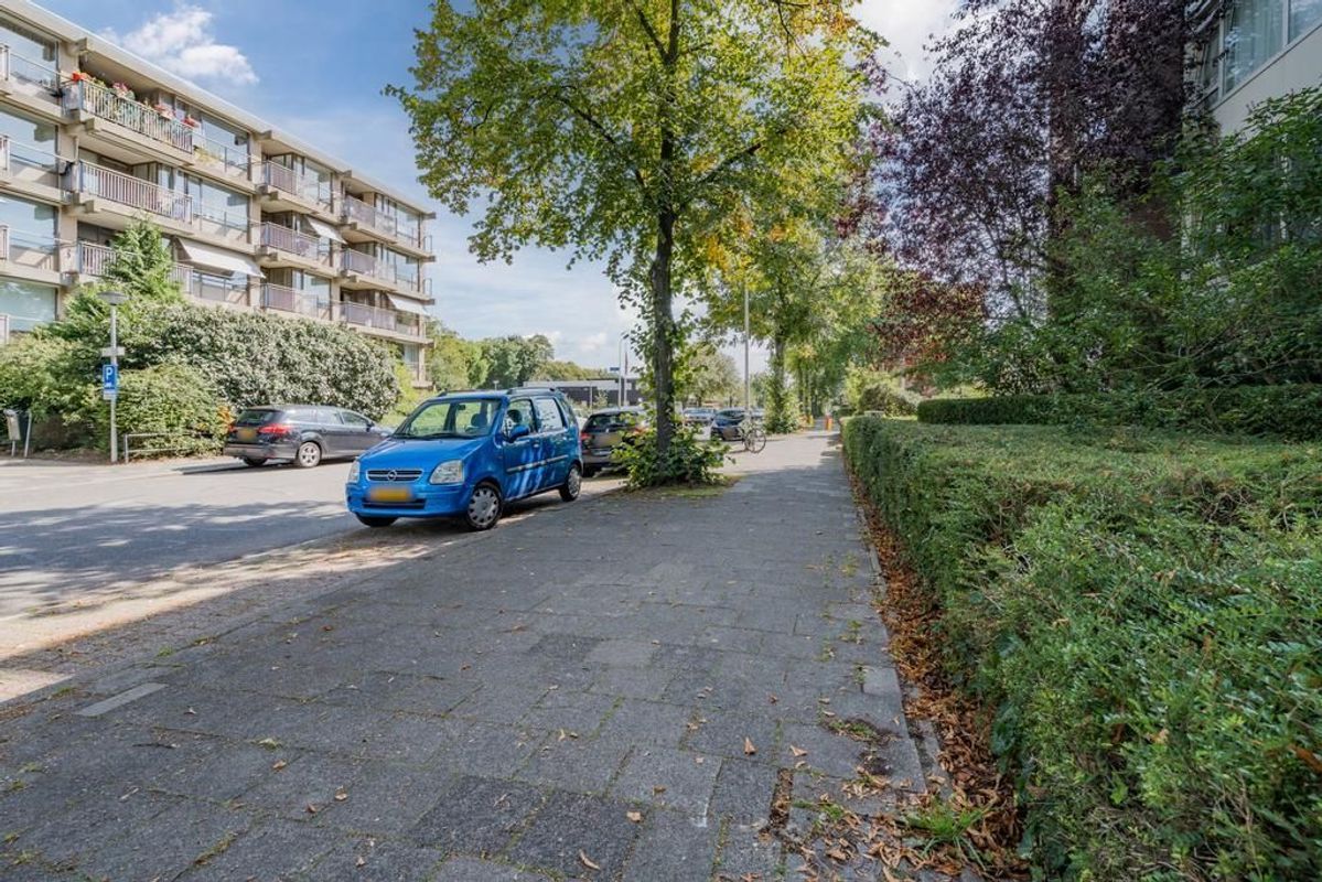 Van Bijnkershoeklaan 205 Photo Blur 23