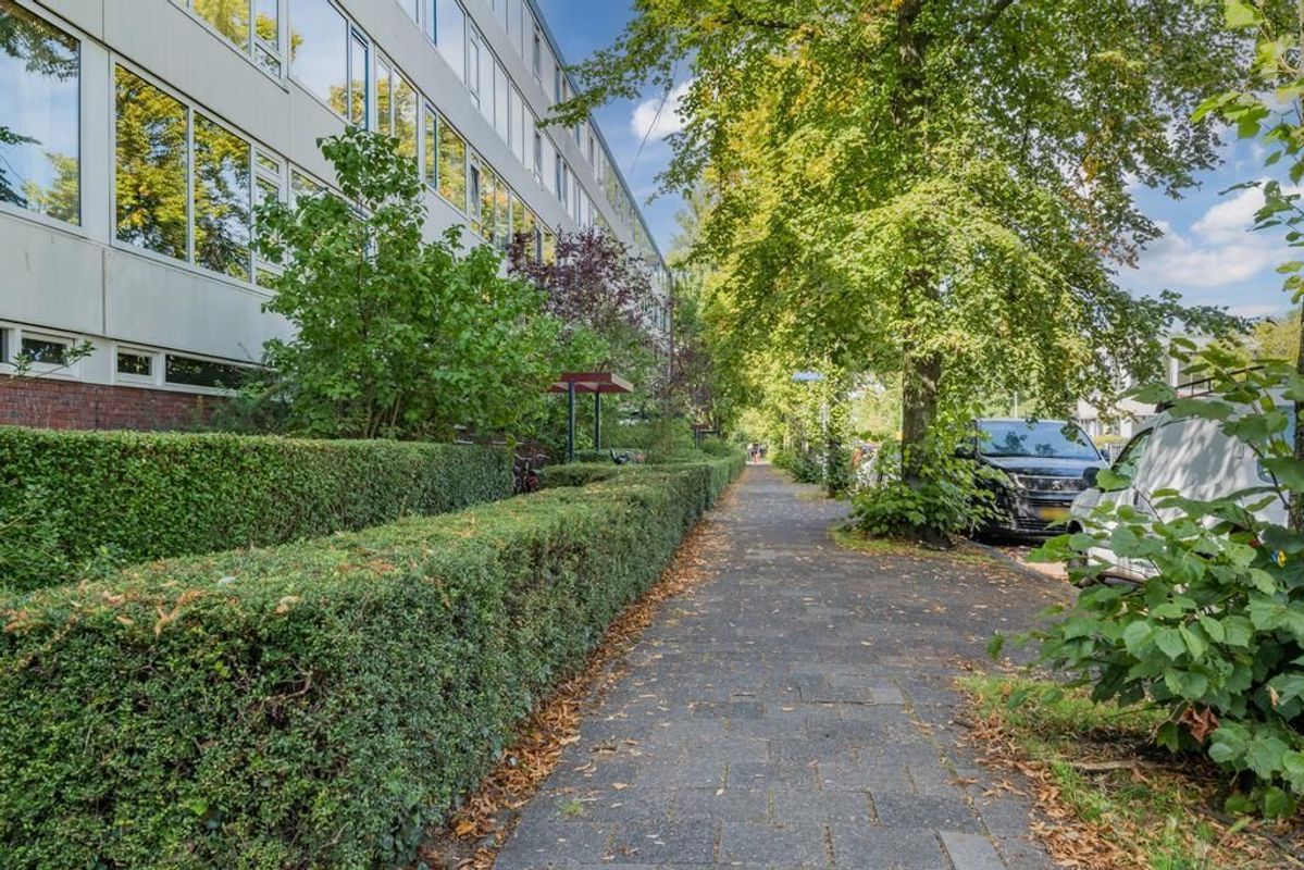 Van Bijnkershoeklaan 205 Photo Blur 24