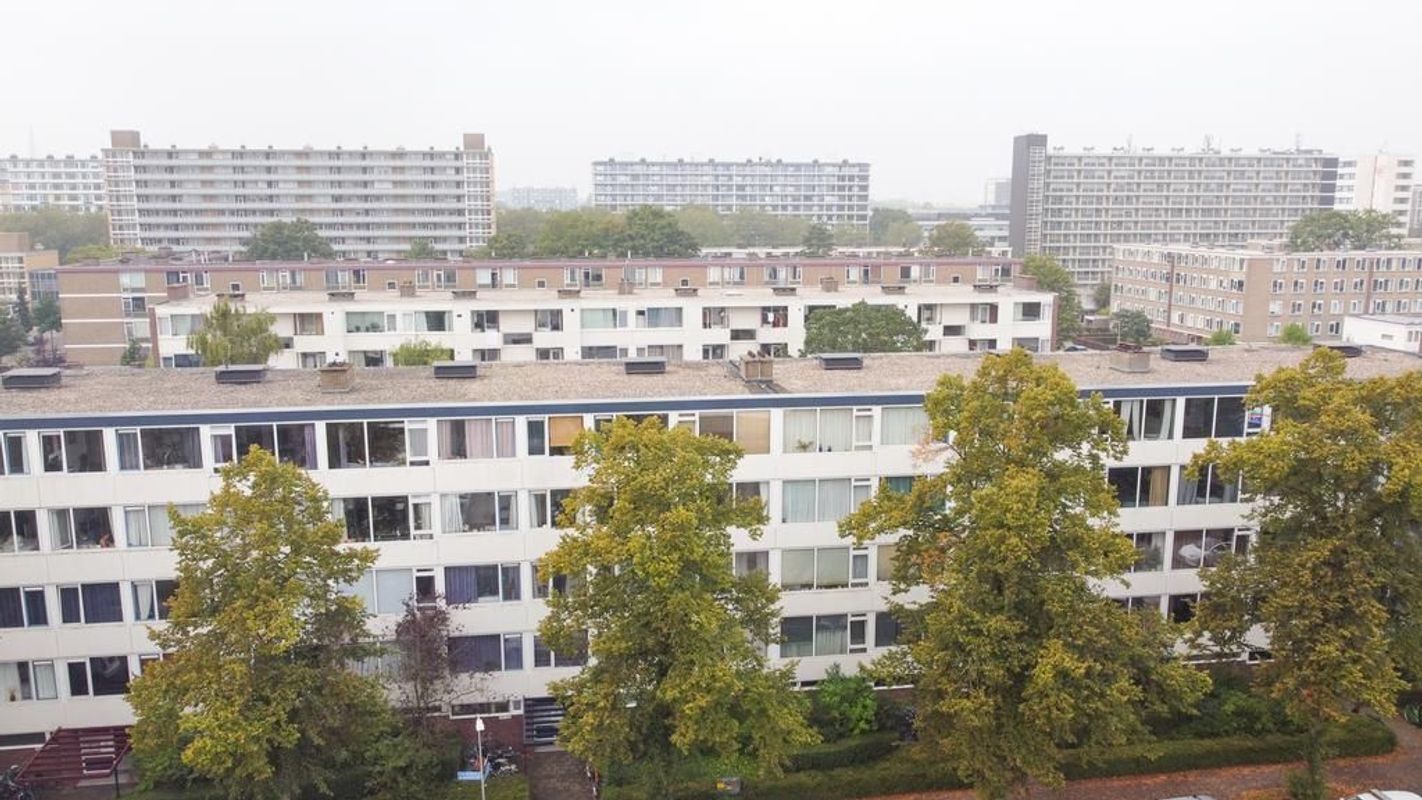 Van Bijnkershoeklaan 205 Photo Blur 25