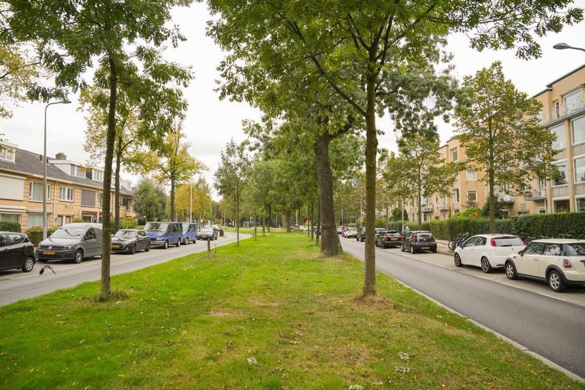 Joseph Haydnlaan 30-II Photo Blur 30