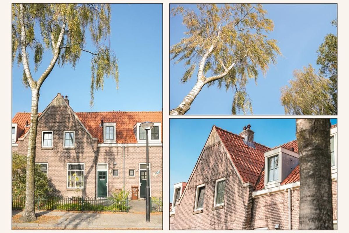 Marconistraat 4 Photo Blur 31