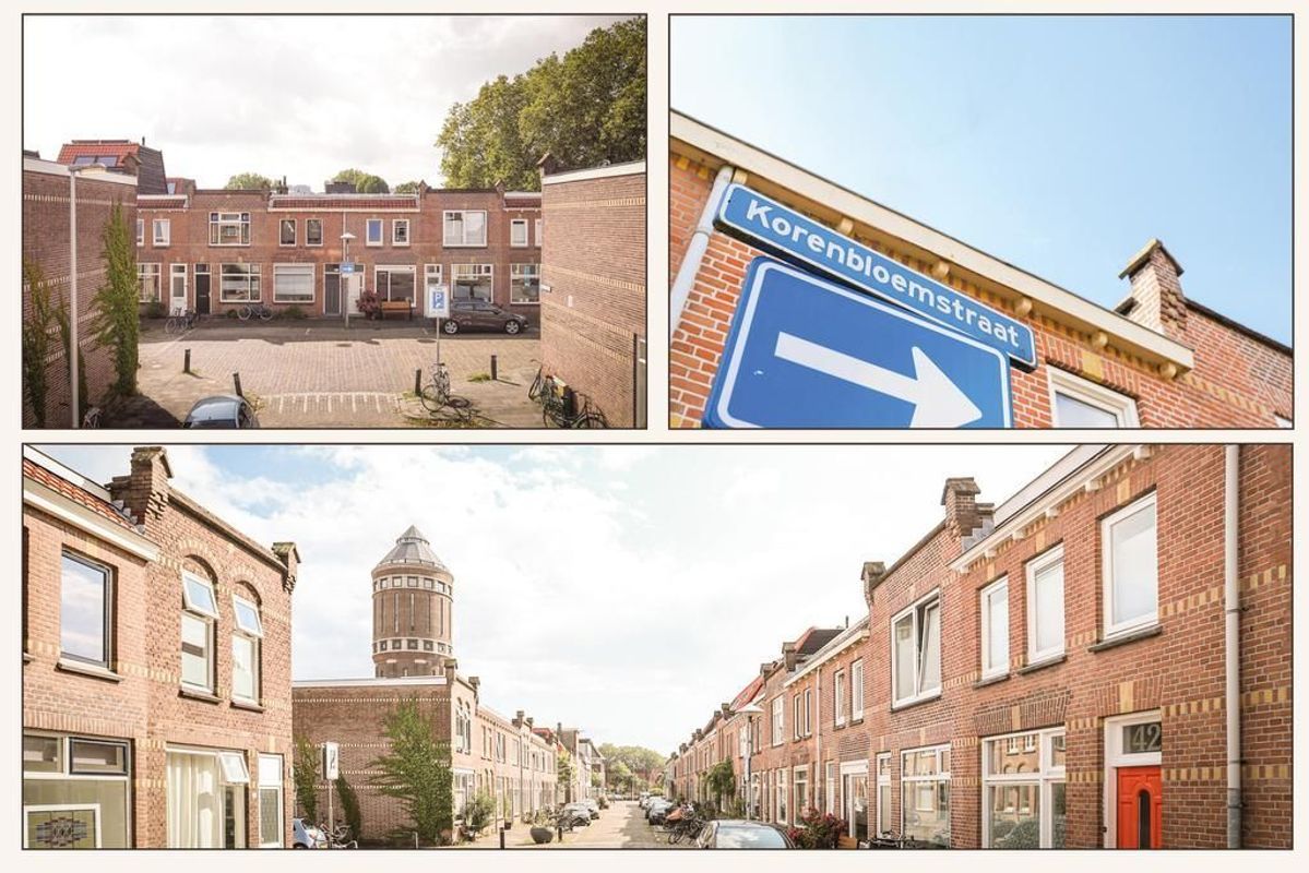 Korenbloemstraat 38 Photo Blur 23