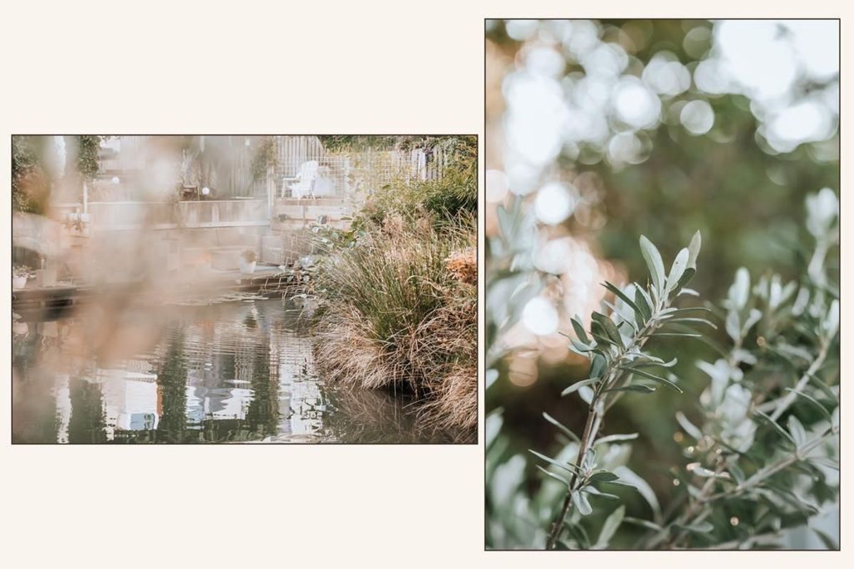 Paul Citroenstraat 29-A Photo Blur 20