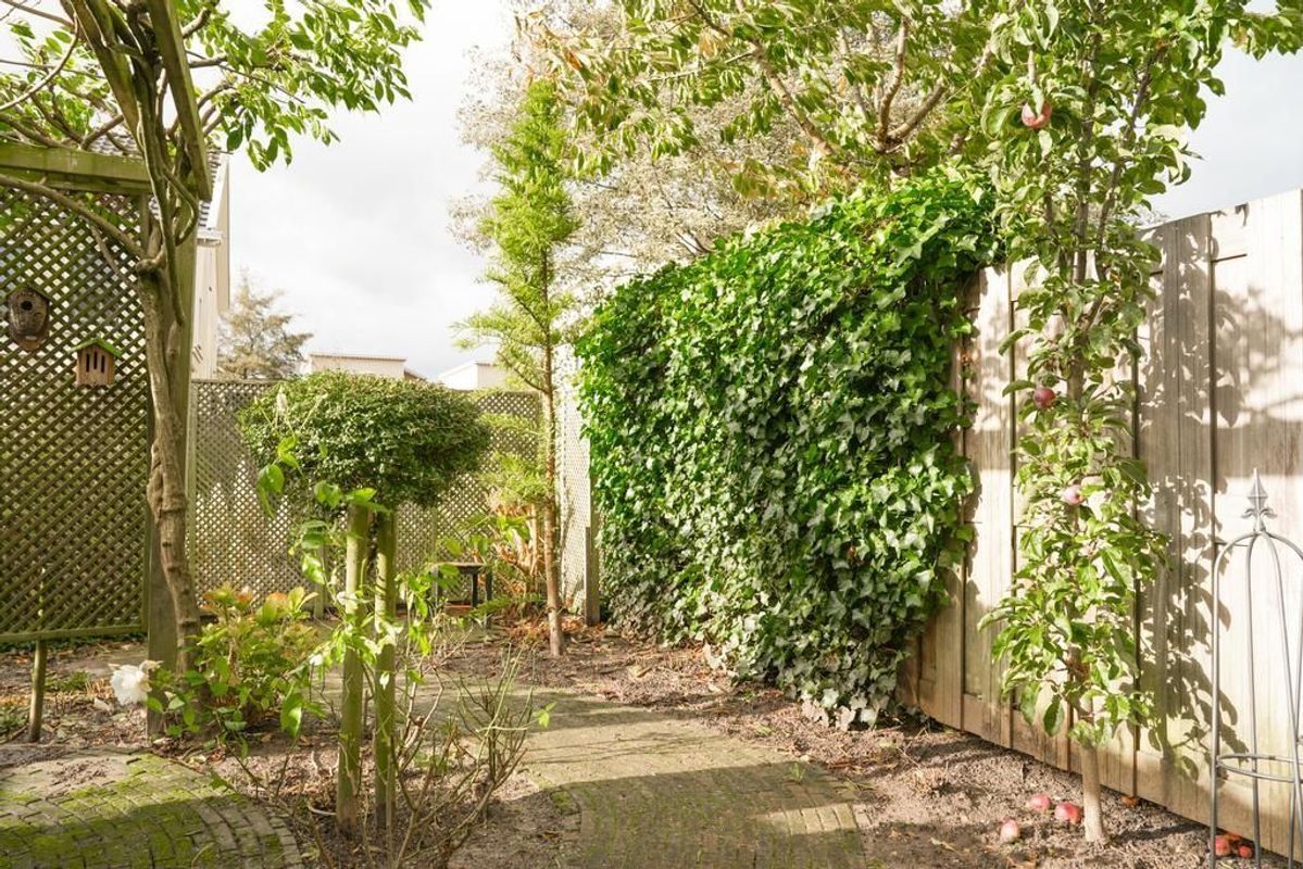 Paul Citroenstraat 17 Photo Blur 12