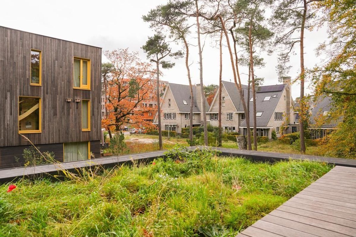 Prinses Arianelaan 35 Photo Blur 35