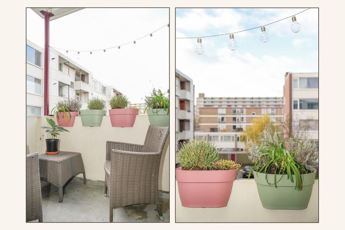 Van Bijnkershoeklaan 207 Photo Blur 20