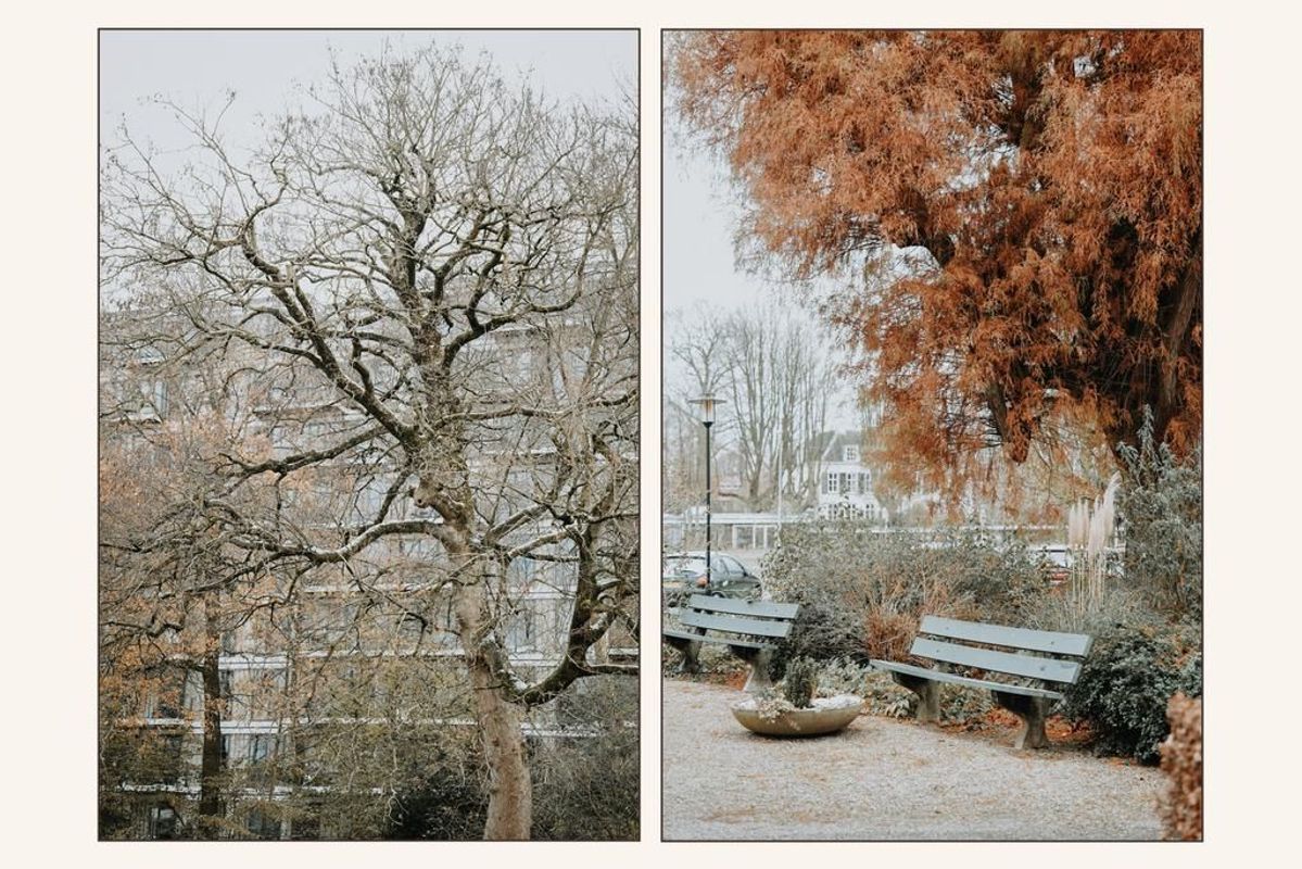 Leidseweg 174 Photo Blur 39