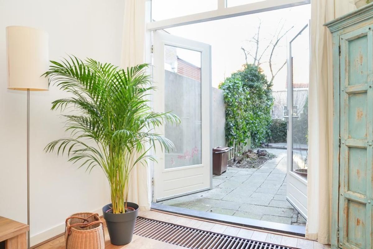 Linnaeusstraat 44 Photo Blur 8