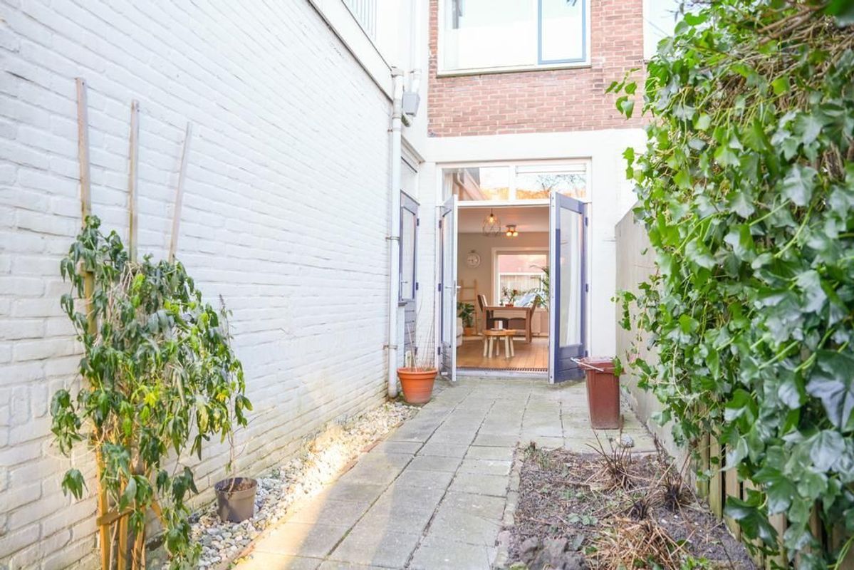 Linnaeusstraat 44 Photo Blur 13