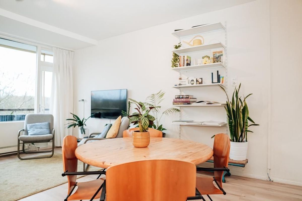 Livingstonelaan 544 Photo Blur 10