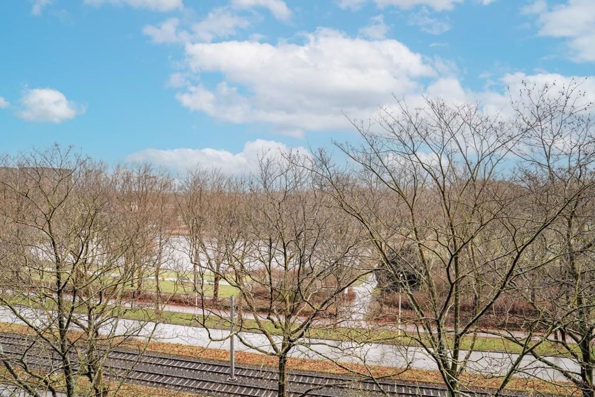 Livingstonelaan 544 Photo Blur 14