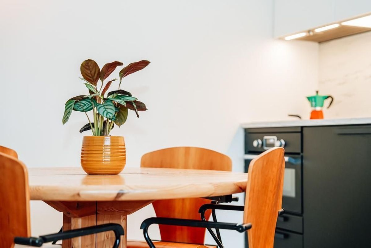 Livingstonelaan 544 Photo Blur 16