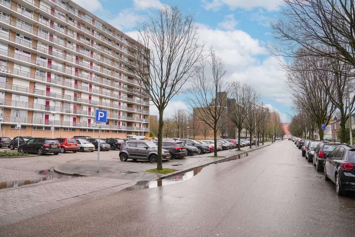 Livingstonelaan 544 Photo Blur 28