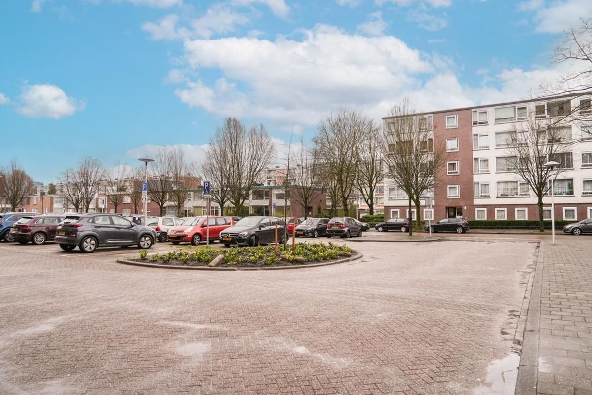 Livingstonelaan 544 Photo Blur 26