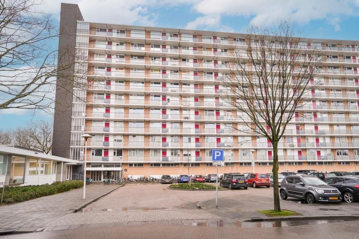 Livingstonelaan 544 Photo Blur 27