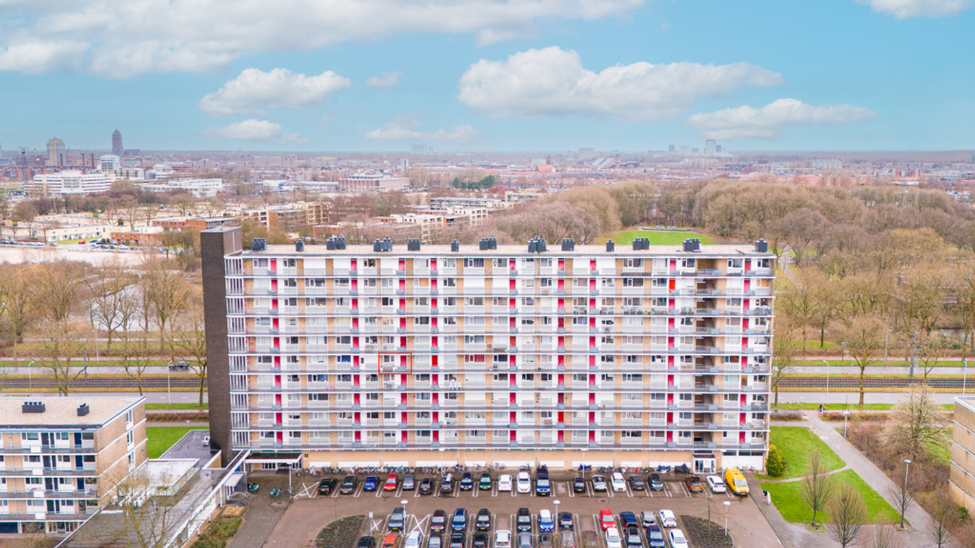 Livingstonelaan 544 Photo Blur 29