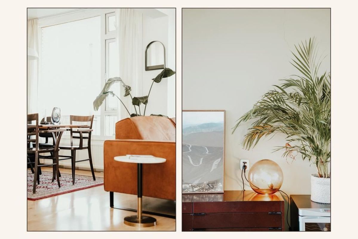 Tolsteegplantsoen 36-II Photo Blur 7