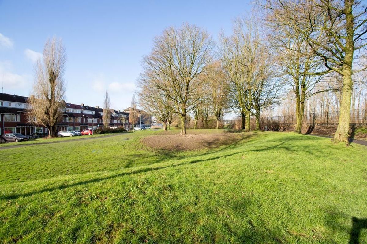 Kneppelhoutstraat 22 Photo Blur 23