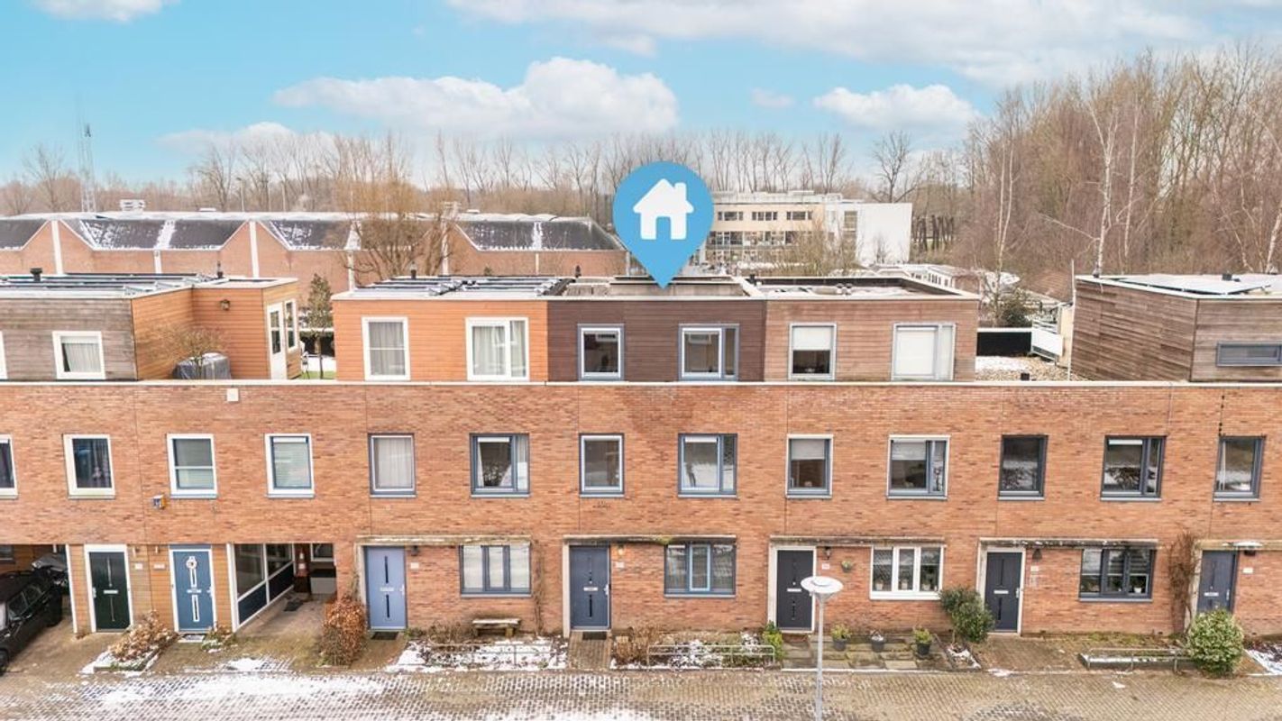 Zwarte Woud 117 Photo Blur 0