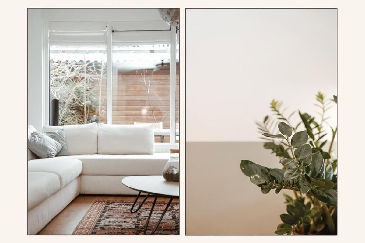 Zwarte Woud 117 Photo Blur 8