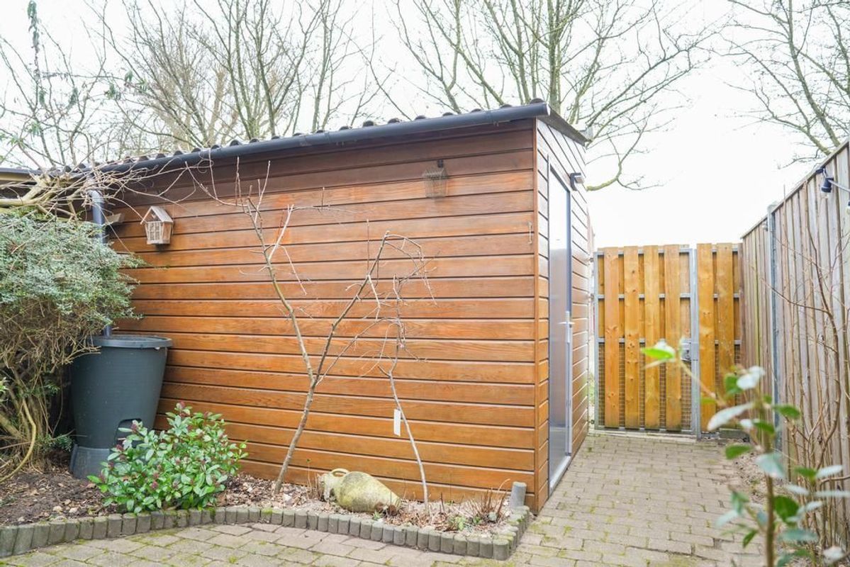 Zwarte Woud 117 Photo Blur 18