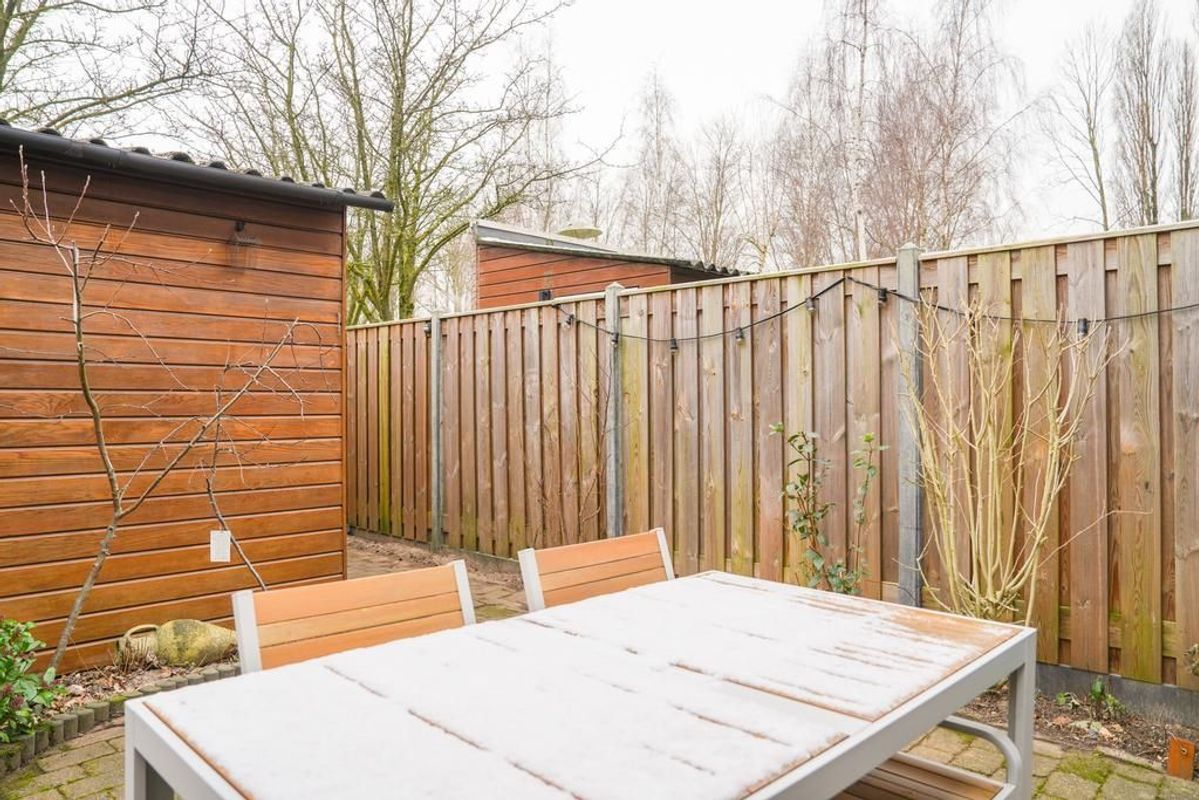 Zwarte Woud 117 Photo Blur 20