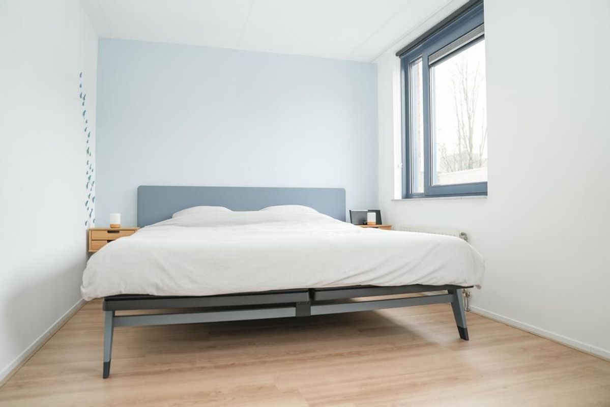 Zwarte Woud 117 Photo Blur 23