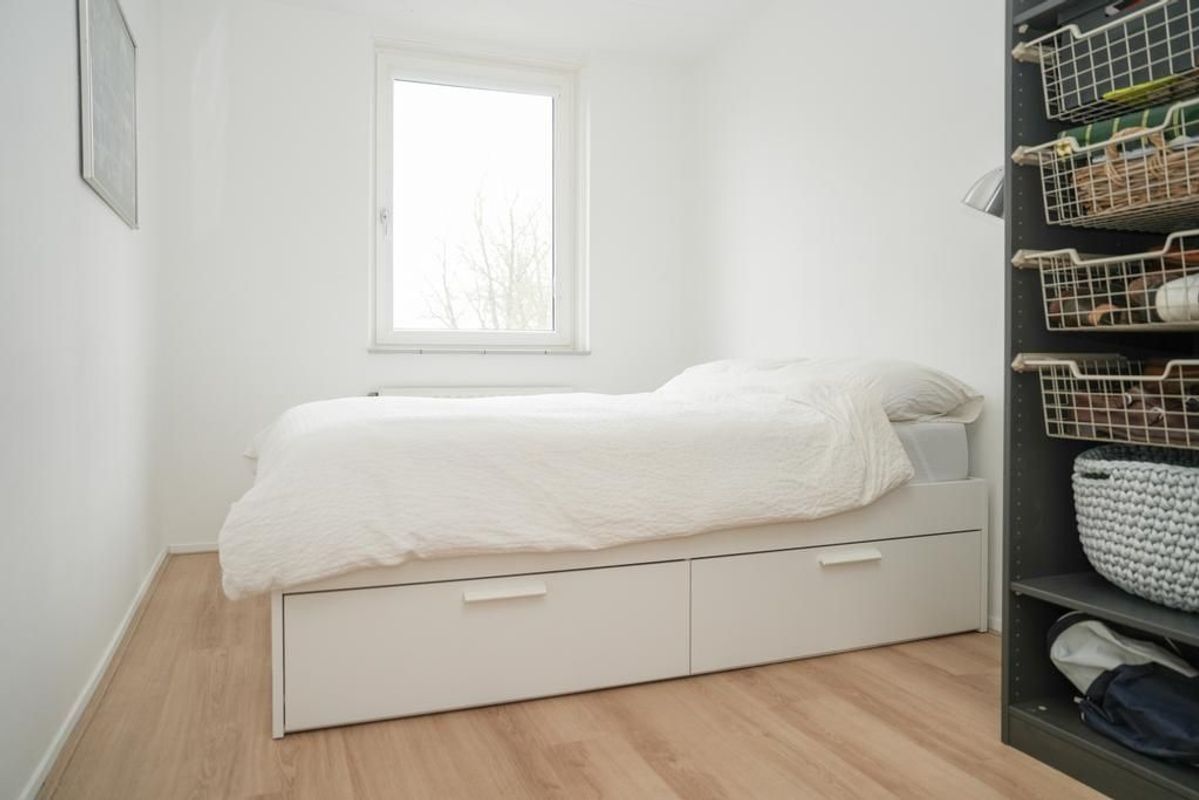 Zwarte Woud 117 Photo Blur 26