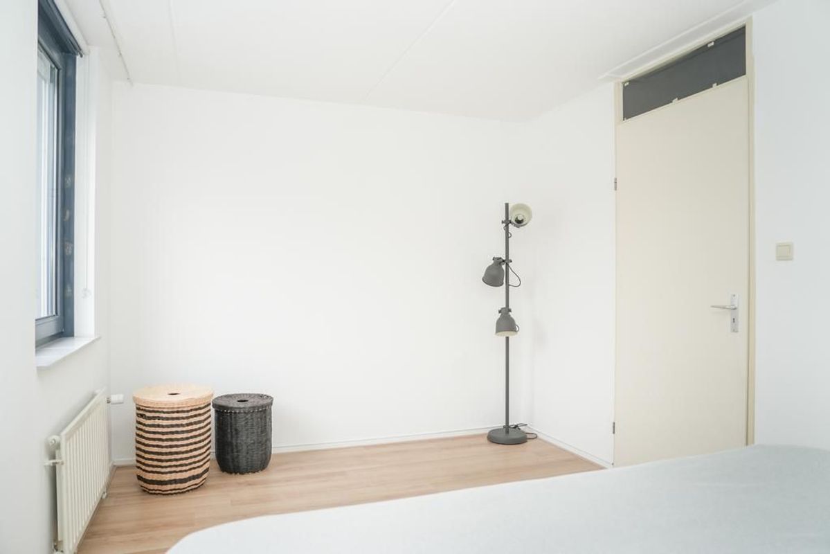 Zwarte Woud 117 Photo Blur 24